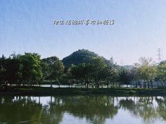 -顺峰山公园