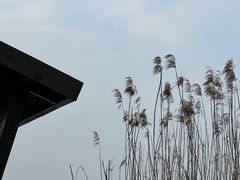 -阳澄湖半岛旅游度假区