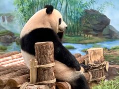 -杭州动物园