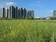 -光明小镇欢乐田园
