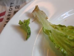 -上海宝华万豪酒店
