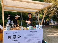 -金鸡湖桃花岛