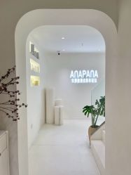 -安那般那皮肤年轻化ANAPANA