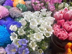 -双季花艺园艺市场(浦东店)