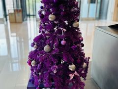 -Seesaw Coffee(环贸iapm店)