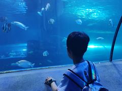 -太平洋海底世界