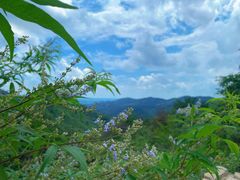 -木兰云雾山