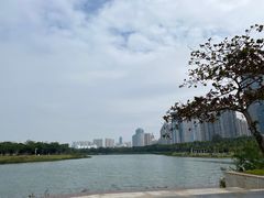 -万绿园
