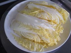 -蚝专家