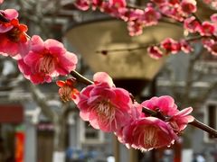 -四川北路(地铁站)