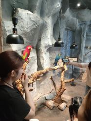 -Zoolung Zoolung动物主题公园(海信广场店)