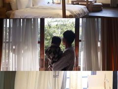 -田园东方蜜桃村的田野营地