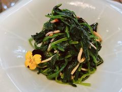 菠菜香干-申粤轩酒楼·三十年粤菜经典(丁香花园店)