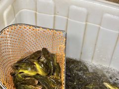 -大院河·仙鱼莊(九眼桥店)