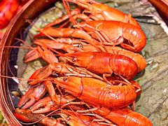 -袁老大龙虾(石鼓路总店)