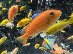 -太平洋海底世界