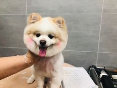 -宠福鑫康馨动物医院·骨科·眼科