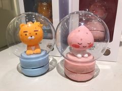 -KAKAO FRIENDS(弘大店)