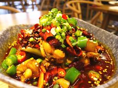 跳跳蛙-付小姐在成都(川沙店)