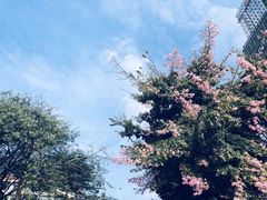 -广东金融学院(校本部)