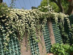 -苏州上方山国家森林公园