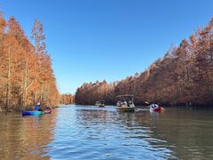 -上海海湾国家森林公园