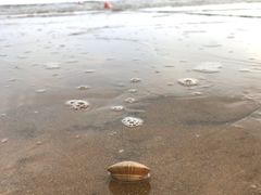 -青岛银沙滩