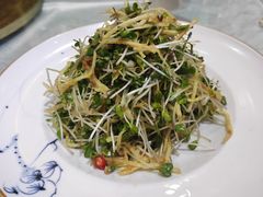 拌豌豆苗-蠔友汇·海鲜·生蚝烧烤(大东店)