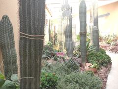 -正佳雨林生态植物园