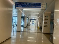 -首都医科大学附属北京天坛医院