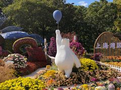 -上海共青森林公园