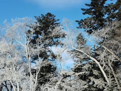 -长白山万达国际滑雪场