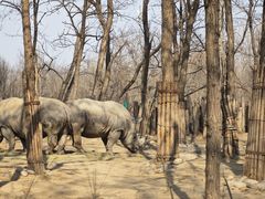 -北京野生动物园