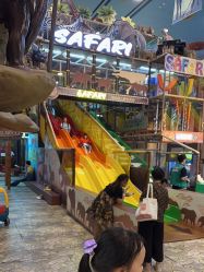 -卡通尼·Safari非洲探索乐园·生日会(金桥国际商业广场店)
