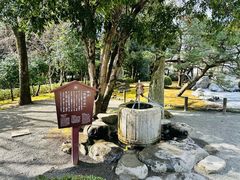 -水前寺成趣园