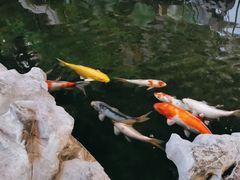 -道南書院·私房菜·早午茶·茶馆