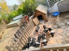 -HERRE·FARM 赫尔露营农场·团建聚会包场