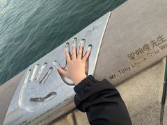 -星光大道