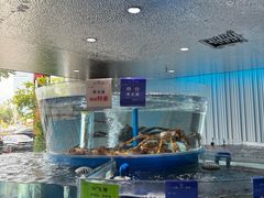-天顺渔港·海景餐厅(星海广场店)