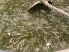 -食鼎记海鲜大排档(美食街店)