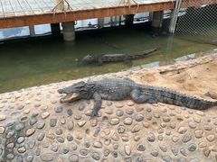 -石家庄市动物园