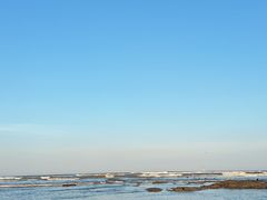 -日照海滨国家森林公园