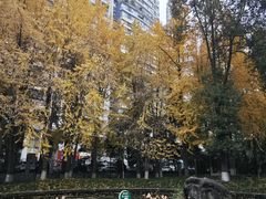 -温江公园