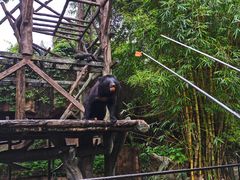 -长鹿旅游休博园