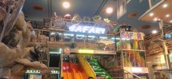 点击看大图 -卡通尼·Safari非洲探索乐园·生日会(金桥国际商业广场店)