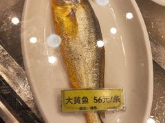 -舌尖上·霞浦滩涂海鲜·新闽菜(总店)