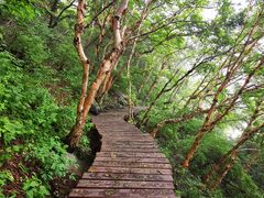 -白草畔自然风景区