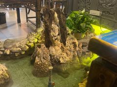 -庭院小酌(瑞莲街店)