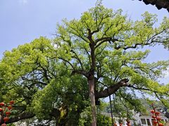 -新安江山水画廊风景区