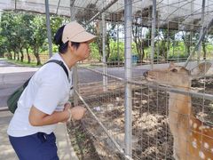-迪茵湖田家舍生态农场